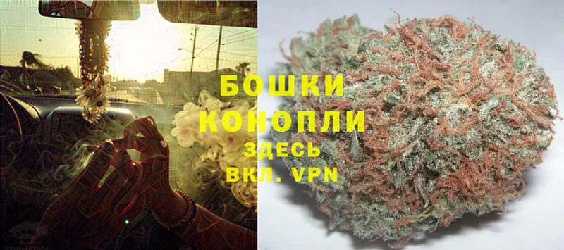 купить наркоту  Отрадное  Бошки Шишки LSD WEED 